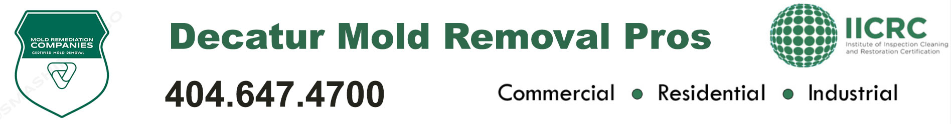 Decatur Mold Removal Pros